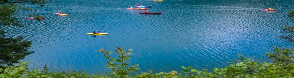 片品村役場ホームページ