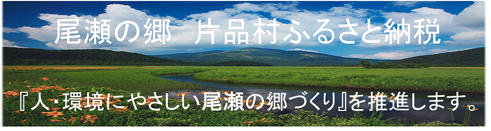ふるさと納税（夏）