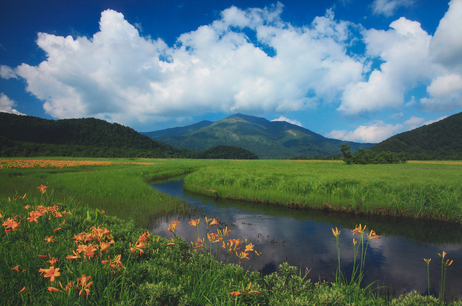ふるさと納税 片品村役場ホームページ