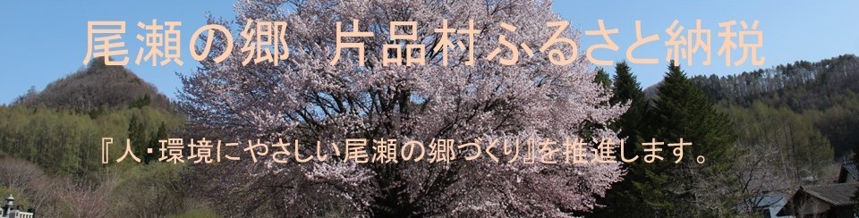 ふるさと納税